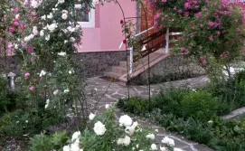 Приватна садиба Лаванда