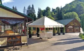 Хостел Васкул