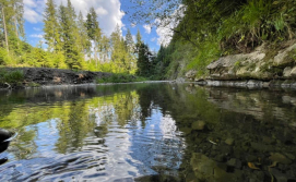 Апартаменти River Rest