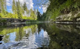 Апартаменти River Rest