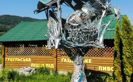 Хостел Васкул