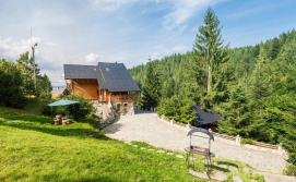 Вілла Карпатська