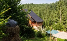 Вілла Карпатська