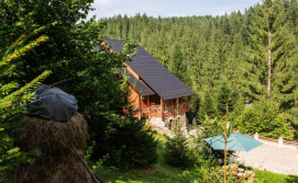 Вілла Карпатська