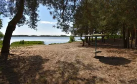 Будиночок Під соснами