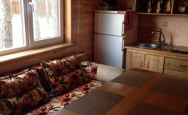 Будиночок дерев'яний на озері в с. Соловичі