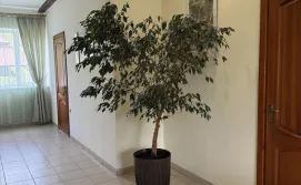 Будиночок дерев'яний на озері в с. Соловичі