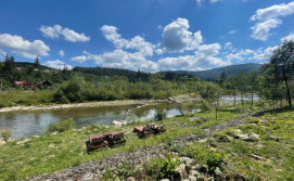 Котедж Майя