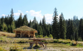 Приватна садиба "Лісова Ягода"