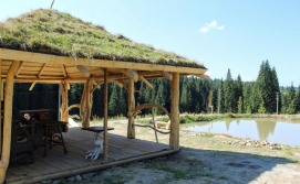 Приватна садиба "Лісова Ягода"