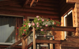 Приватна садиба PetrovMotoPunkt