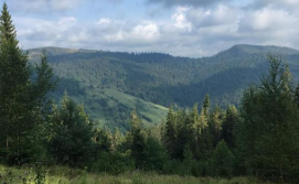 Котедж У Бойка