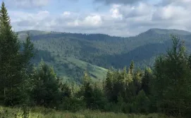 Котедж У Бойка