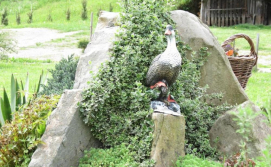 Приватна садиба "Білий камінь"