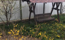 Котедж Модрина