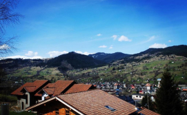 Котедж Chalet Laitner