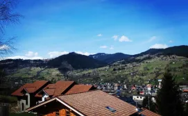 Котедж Chalet Laitner