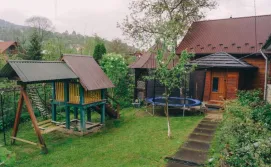 Будиночок в Карпатах