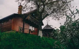 Будиночок в Карпатах