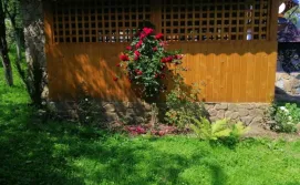 Приватна садиба Криниченька