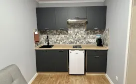 Апартаменти Carpathian Dream Apartments