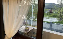 Апартаменти Carpathian Dream Apartments