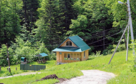 Будиночок Грибочок