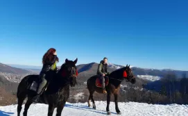 Котедж Кліверент