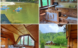 Котедж Зарінок карпат