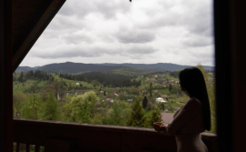 Котедж Медовий