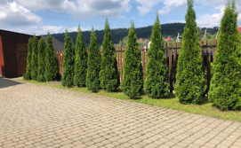 Готель Тотем