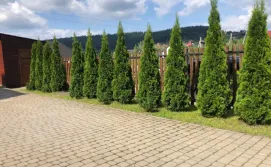 Готель Тотем