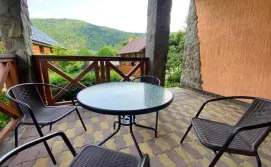 Вілла Барвінок Карпат