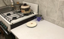 Приватна садиба Художник