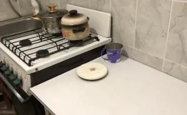 Приватна садиба Художник