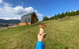 Котедж Гірський барн