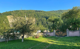 Приватна садиба Гайналі