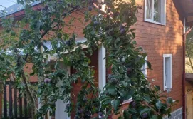 Котедж Карпатський