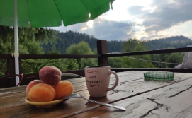 Апартаменти "У Кузьмича" (номер студіо)