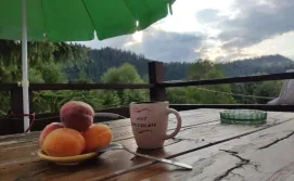 Апартаменти "У Кузьмича" (номер студіо)