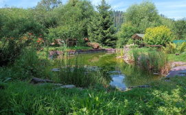 Апартаменти "У Кузьмича" (номер студіо)