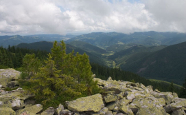 Система гірських хребтів Горгани