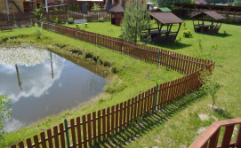 Ставок на території