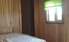 Будинок Цвіт лілії