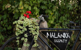 Приватна садиба Маланка