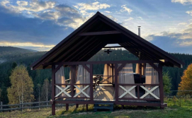 Котедж Карпатська Модринка