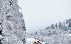 Котедж BagriWood Lodges