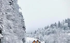 Котедж BagriWood Lodges