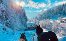 Котедж BagriWood Lodges