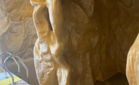 Котедж Шале "Анемона"